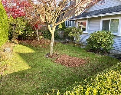 Bright and cozy 1-bedroom garden-level suite, fully separate from the main home, located in a peaceful and convenient area of Burnaby.